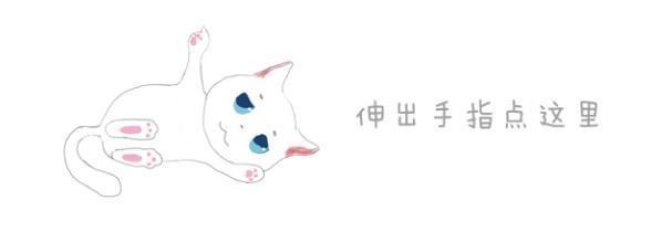 兔子霸占小猫的猫窝，主人本以为猫咪会生气，可猫竟爱上了兔毛？