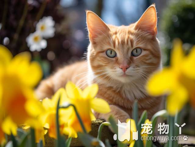 杭州萌兽君：这里的猫猫狗狗颜值都高到爆，你会选择哪一只?