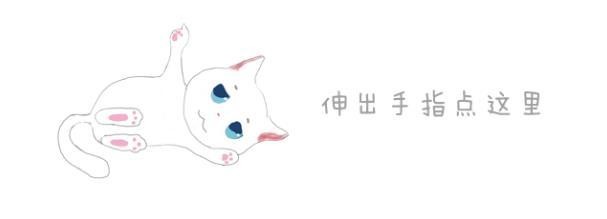 杭州女生看上宠物店蓝猫，抱走偷偷养家中，小猫却被她饿坏了！